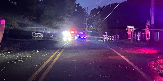 Severe thunderstorms move through metro Atlanta, north Georgia; man killed after tree limb falls on car in Cherokee County