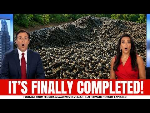 Footage From Florida’s Swamps Reveals the Aftermath Nobody Expected