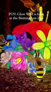 🦁✨GLOW WILD: The annual jaw dropping animal lantern celebration is returning to the @bhamzoo! 👇 ⭐️See the Zoo come alive after hours as dazzling displays light up the night! ‼️What to expect: 🤩Stunning animal sea life light displays 🤩 New virtual reality movie experiences 🤩A wide selection of food drink options 🤩Live acrobatic performances 🤩Rides on the @drinkreddiamond luminous expressway 📆Open Now - January 20th, 2025 ⏰Wednesday- Sunday | 5 PM - 9 PM 📍 @bhamzoo | 2330 Cahaba Rd 35223 