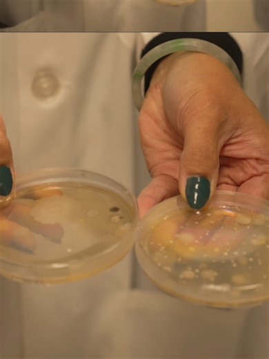 Phycoterra: Farming Innovations Explored on Live to Farm