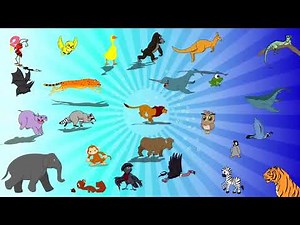 Alphabet Animals - ABC Animals Song for Kids | Learn animals, phonics and the alphabet