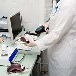 Electronic Health Records and Patient Safety