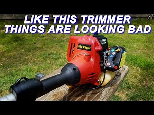 Why Is The Market For Stuff Like This Homelite Trimmer So Outrageous?