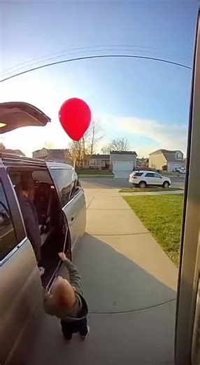 A helium balloon slips from a toddler's hand as mom unbuckles the car seat in the driveway. The family's golden retriever spots it drifting toward the street and springs into action, gently catching the string and trotting back to return it.