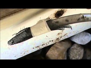 Successful Australian Native Stingless Bee Trap Out.