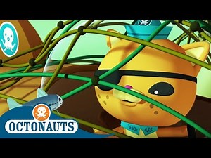 Octonauts - The Life Aquatic With Kwazii | Cartoons for Kids | Underwater Sea Education
