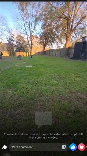 Most dogs will hide pain but I work very hard so my dogs learn to show me when something is wrong, and allow me to check them. It makes life alot easier both at home and at the vet. Building trust is huge. But also this is why well bred health tested dogs is so important. Nyx comes from lines with good joints so she has never had an issue until now after 6 years of being extremely hard on her joints. Lol | The Hyena ACD