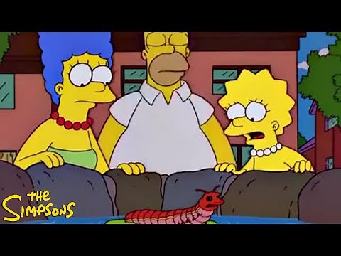 The Simpsons S13E21 The Frying Game | Review and Recap