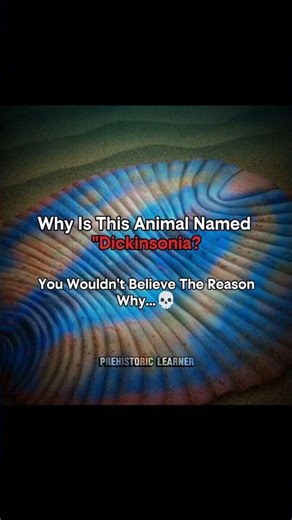 Why Is This Animal Named "DICKINSONIA" #prehistoricanimals #extinctanimals #fypage