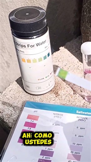 How we control HIGH NITRITES in Biofloc. #nitrites #biofloc #parameters #biofloc #fish