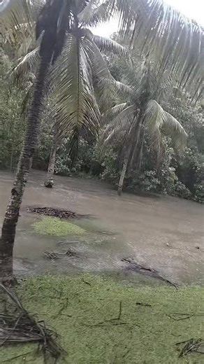 29 reactions · 8 comments | Biboy Jabian on Reels | Facebook