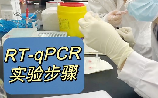 RT-qPCR详细步骤