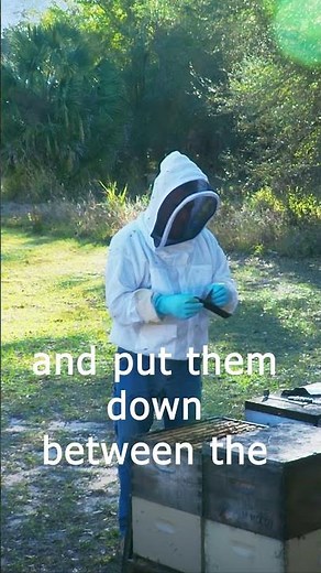 Remove Mites Naturally with HopGuard