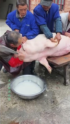 Traditional Slaughter Method | Real Process