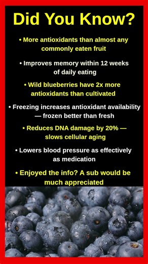 Shocking Facts About Blueberries That Will Blow Your Mind 🫐😱