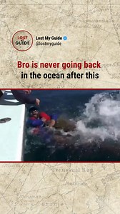 What would you do in his place? 👇 Drop your reaction below & tag someone who’d panic harder. 🎥: Unknown (credit to the owner) 📬 DM for credit/removal 👉 Follow @lostmyguide for near-death laughs and panic dives. #OceanAdventure #WildEncounters #LostMyGuide | Lost My Guide