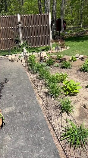 #pugsofinstagram #doglover #pug #pugsounds #funnypugvideos #asmr #pugasmr #puppylife #petsofinstagram #pugblack | Pugkuma