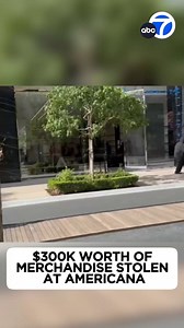 194K views · 1.6K reactions | A group of thieves were captured on video fleeing a high-end clothing store at the Americana at Brand in Glendale after stealing hundreds of thousands of dollars in merchandise. https://abc7.la/44YlsdX | ABC7 | Facebook