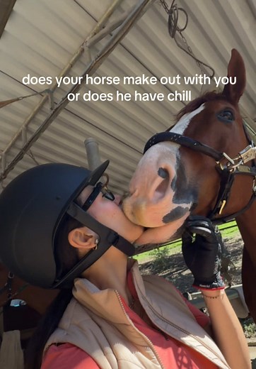 Understanding Horse Affection: Kisses and Connection