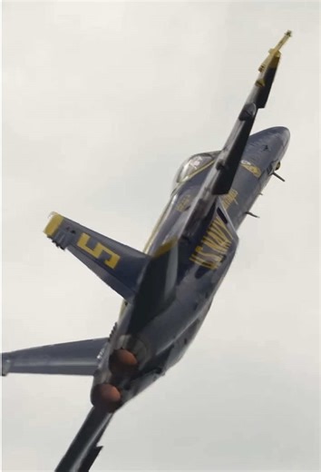 Blue Angels: The Elite U.S. Navy Flight Demonstration Team