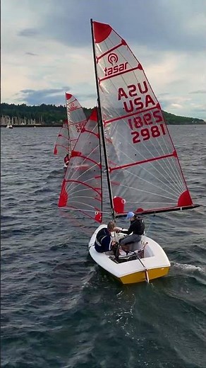 Tasar Sailboat Racing in Puget Sound | DJI Avata FPV Sailing Footage
