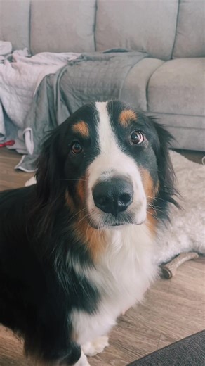 Exploring the Fun of Not Shrek in Pop Culture