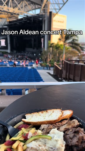 Jason Aldean Concert Experience in Tampa, Florida