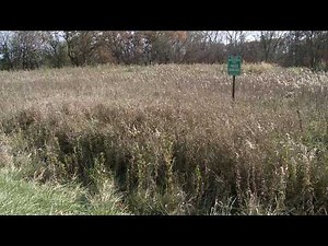 2026 Hunter Listening Sessions, Iowa DNR