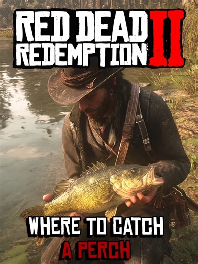 Where To Catch A Perch In Rdr2 In 2026!#gaming #fishing #shorts #foryou #fypシ #fypシ゚viral #viral #fypage #fyp #fyppppppppppppppppppppppp #fishingonvideogames #videogames #northernpike #bassfishing #redearsunfish #greensunfish #reddeadredemtion2 #perch #rdr2 #rdr2online