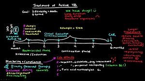 Treatment of Active TB