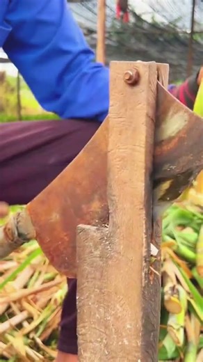 Hand held homemade cutter with a stand for easy cutting of sugarcane