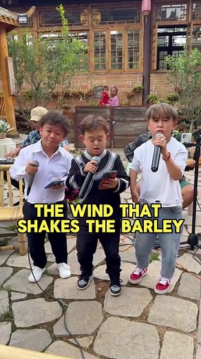 The three brothers sang “The Wind Blows the Wheat”,the melody is soft and cheerful,too intoxicant.#muyunbrothers #chinesesong