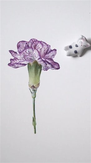 Sonya Helz on Instagram: "@eglekolevart 🌸 Carnation watercolour TUTORIAL on my PATREON ( link is in my bio or simply comment LINK, and I will send you the info) 🖌 I am painting using my own brand brushes, highest qulity Kolinsky Sable brush Set is available on my website, just click the link in my BIO or comment BRUSH and I will send you the link. #watercolour #watercolor #watercolorartist #watercolortexture #watercolourpainting watercolorart botanicalart botanicalillustration botanical botani