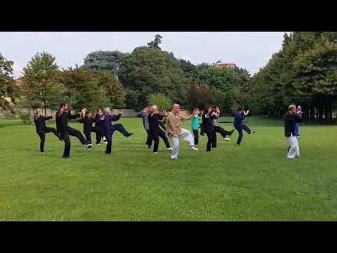 Tai Chi Chuan Forma 37 Cheng Man Ching - Maestro e Istruttori