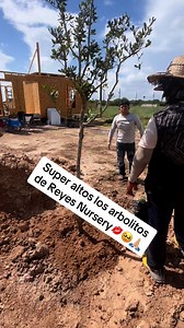 3.2K views · 224 reactions | #biby956 #bronco956 #uaaa #nuestronidodeamor #besitos Reyes Nursery Israel Romero | Norma Ramirez | Facebook