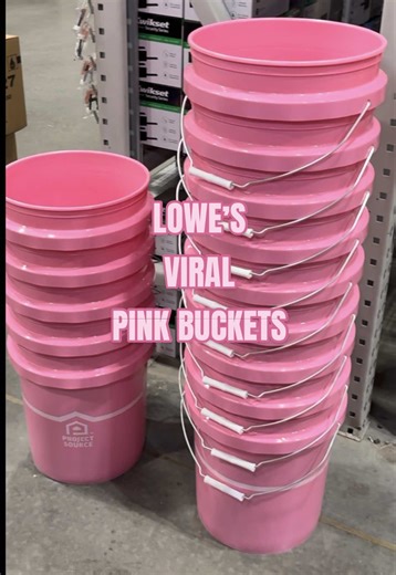 I’m a florist ofccc I’m gonna go get my pink flower buckets for Valentine’s Day🩷 Go get you some of these!🤭💕 #lowesminibucket #pinkbucket #pinkaesthetic #viral #floristoftiktok