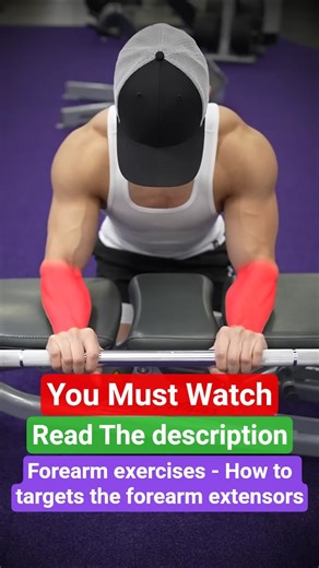 Forearm exercises - How to targets the forearm extensors #forearms #bicepcurls #armsworkout #muscle