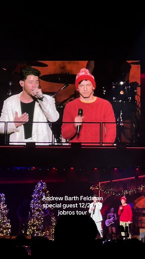 Very Jonas Christmas: A Hilarious Celebration