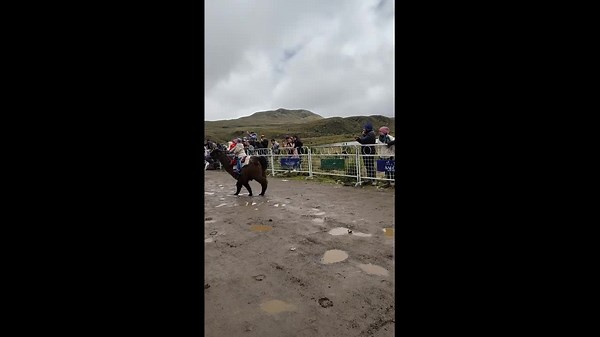 Young girl races on a llama against horses in Quito, Ecuador
