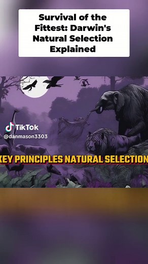 Natural Selection: Darwin's Theory Explained