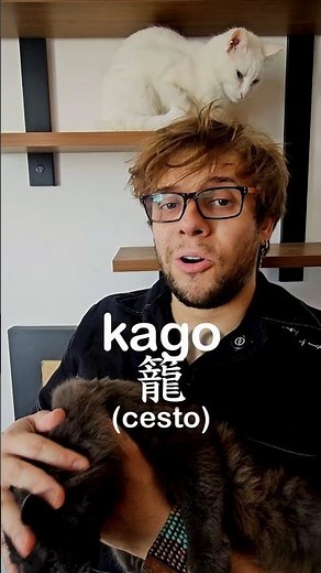 You already know how to SPEAK 🇯🇵 easy Japanese words for Portuguese speakers!