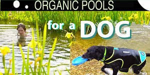 Make an Organic Pool for a DOG