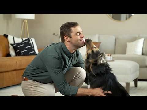 PetSafe® Smart Feed Automatic Pet Feeder for Dogs