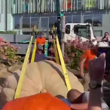 79K views · 2K reactions | Epiphany bathing in Moscow. | From Russia with Love | Facebook