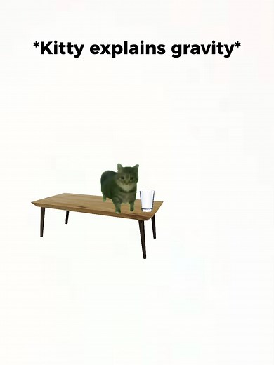 Kitty explains Gravity!#cutecatsoftiktok #cutekitten #kittyexplains #kittyanalysis #kitty #fyp #analysis