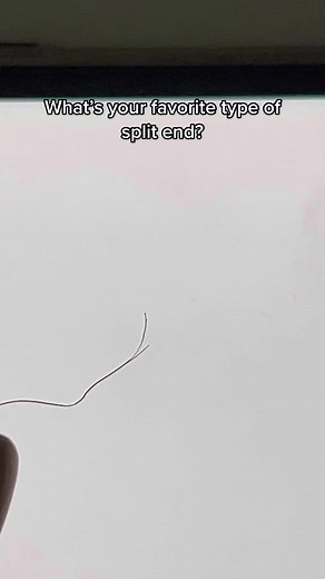 Exploring the World of Split Ends