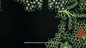 Discover all the secrets of the dresses from the Dior Cruise in 60 seconds. | Vogue France