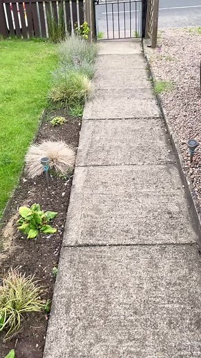 Ready for the #Pop #fordsonsuperdexta #vintage #tractor