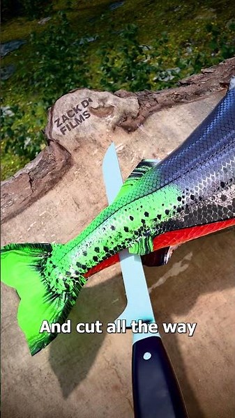 How To Fillet A Fish 🤔