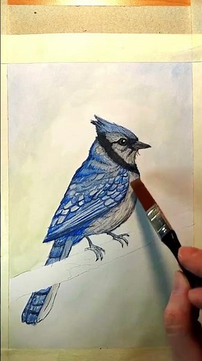 Watch This Blue Jay Come to Life 🐦 Watercolor Bird Painting #paintingprocess #painting #birdpainting